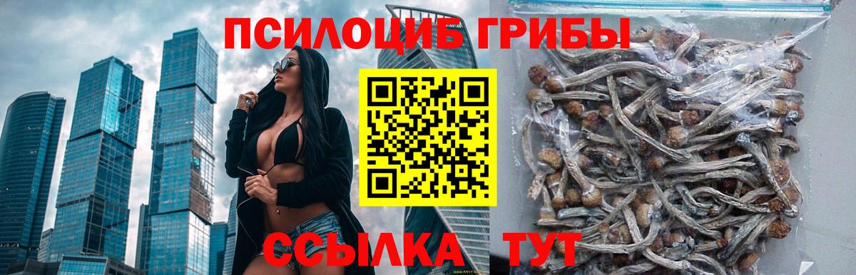 Псилоцибиновые грибы GOLDEN TEACHER Тында