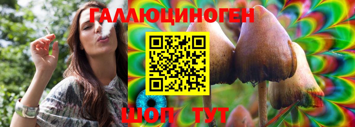 Тында  Псилоцибиновые грибы GOLDEN TEACHER  Вход с VPN 